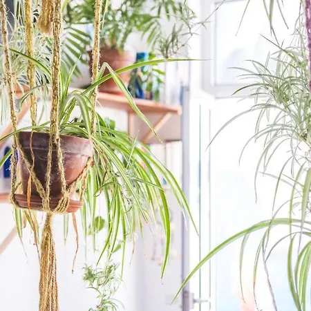 Vandrerhjem La Ventana Azul *