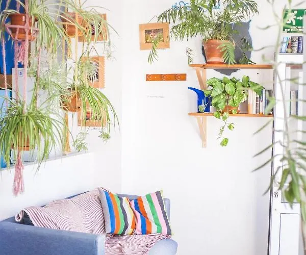 La Ventana Azul Hostel *